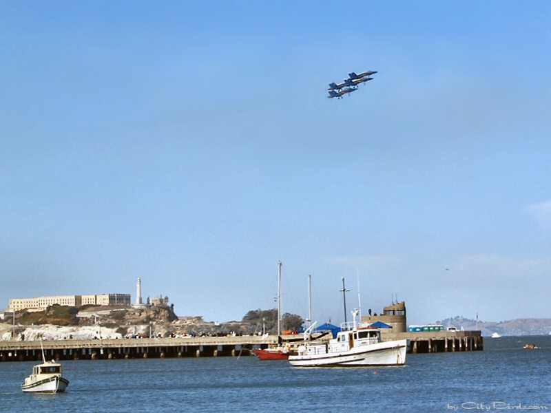 The Blue Angels over Alcatraz